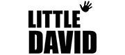 logo LITTLE DAVID