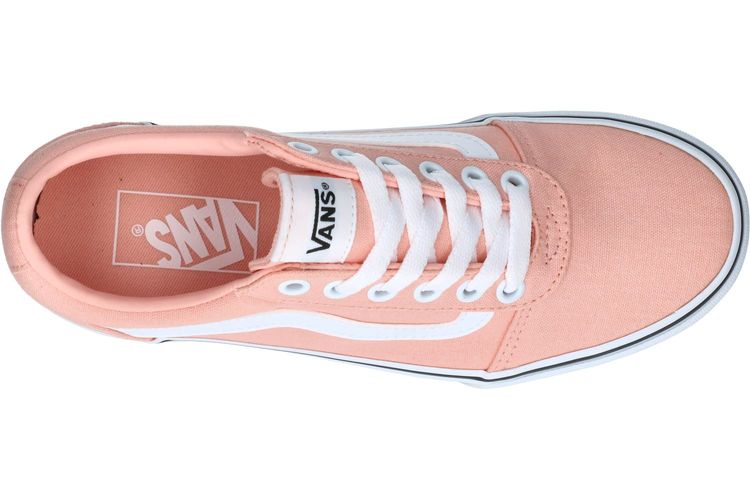 VANS-WARD 2-ROSE-DAMES-0006