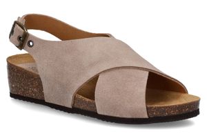 SCHOLL-AMELIE-MARRON-DAMES-main.jpg?tr=c-at