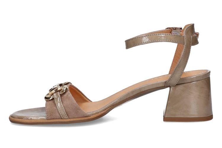 DFC RELAX-DALHIA-TAUPE-DAMES-0004