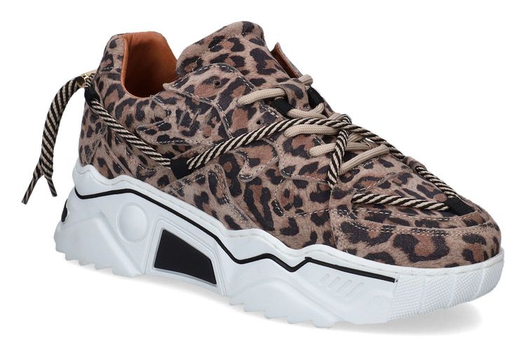 DWRS-JUPITER4-MOTIF-DAMES-0001