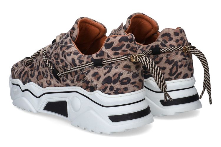 DWRS-JUPITER4-MOTIF-DAMES-0002