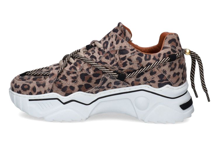 DWRS-JUPITER4-MOTIF-DAMES-0004