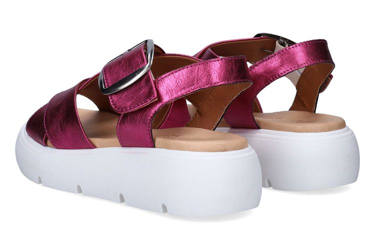 SWEET LEMON-NOBU2-ROSE-DAMES-0002