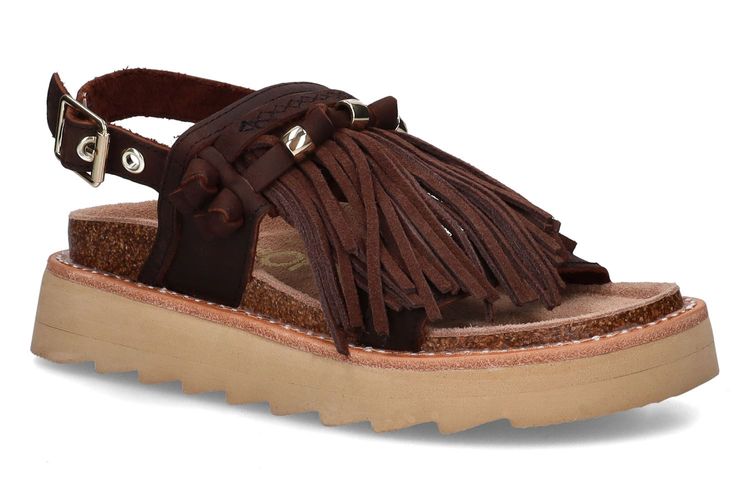 COLORS OF CALIFORNIA-CINLA1-CHESTNUT BROWN-DAMES-0001