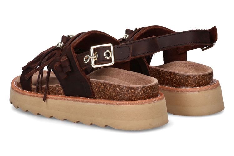 COLORS OF CALIFORNIA-CINLA1-CHESTNUT BROWN-DAMES-0002