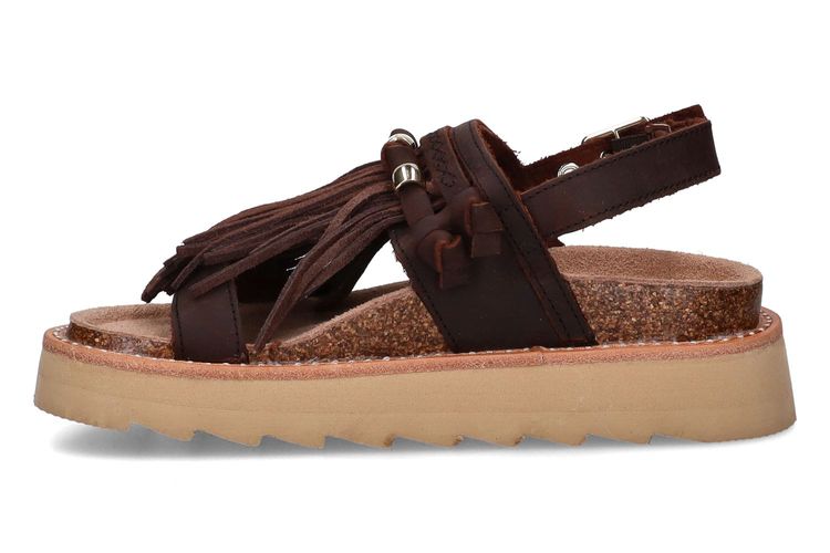 COLORS OF CALIFORNIA-CINLA1-CHESTNUT BROWN-DAMES-0004