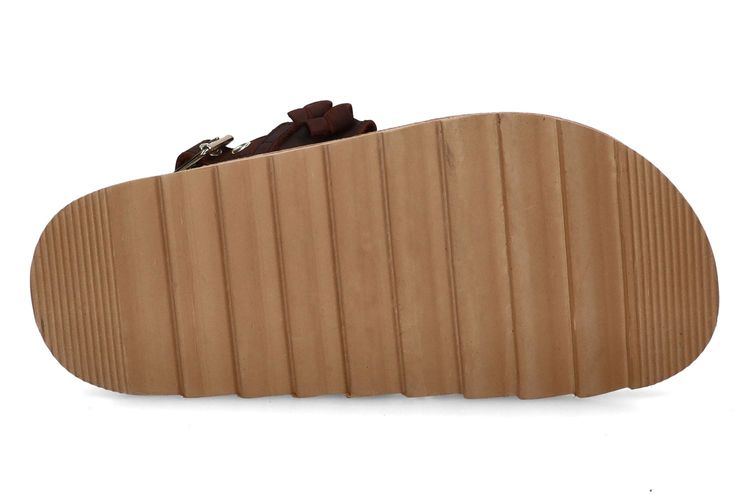 COLORS OF CALIFORNIA-CINLA1-CHESTNUT BROWN-DAMES-0005