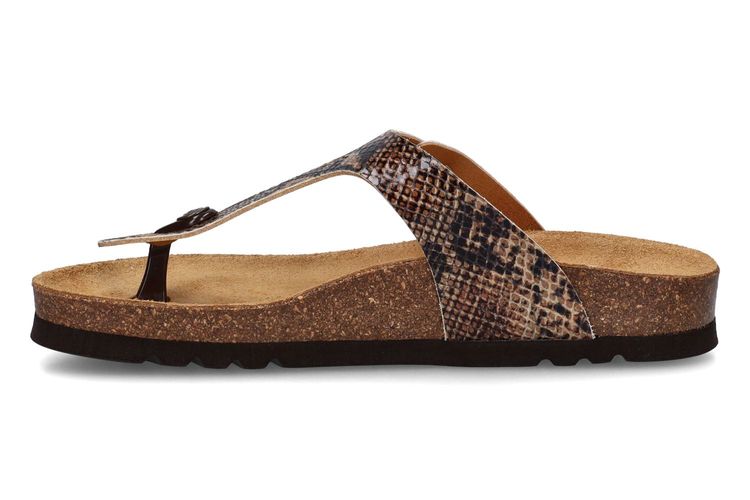 SCHOLL-NICOLE2-CHESTNUT BROWN-DAMES-0004