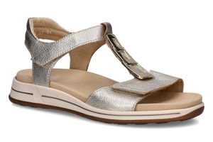 ARA-APOLINE-GOUD-DAMES-main.jpg?tr=c-at