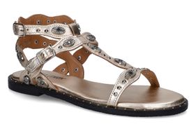 SWEET LEMON-MOLIMPIA-PLATINA-DAMES-0001