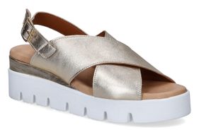 SWEET LEMON-NIAO1-PLATINUM-DAMES-0001