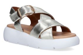 SWEET LEMON-NOBU3-PLATINA-DAMES-0001