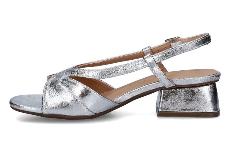 PIED DE BICHE-PERLA 1-SILVER-DAMES-0004