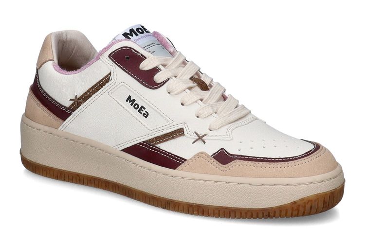 MOEA-GEN1 GRAPES-BLANC-DAMES-0001