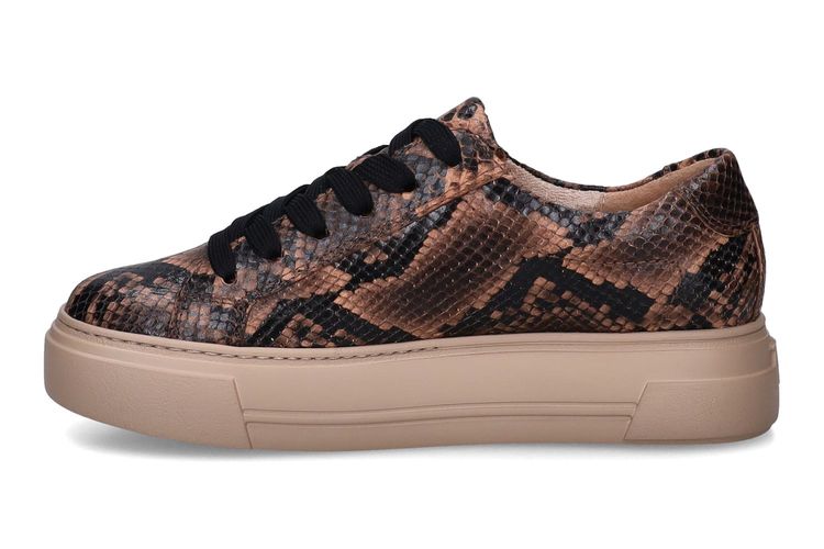 PAUL GREEN-PRISSY-MARRON-DAMES-0004