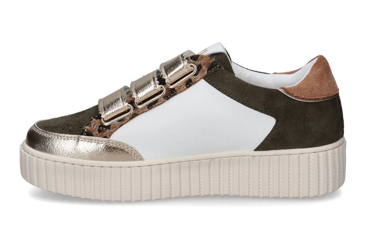 CL11-CODIA-KAKI-DAMES-0004