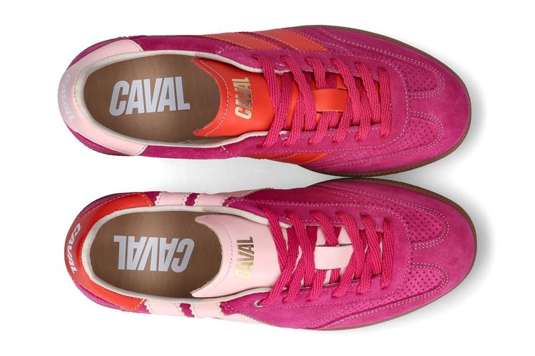 CAVAL-PULSE 1-ROSE-DAMES-0002