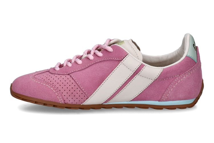 CAVAL-BALLET 1-ROSE-DAMES-0004