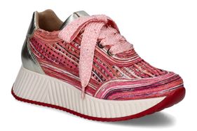 PORRONET-PALOMA 1-ROSE-DAMES-0001