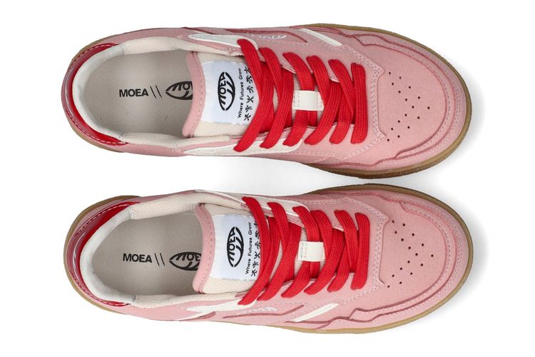 MOEA-ORIGINLOW4-ROSE-DAMES-0003