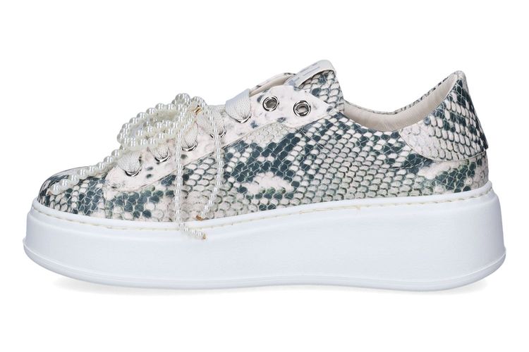 GIO +-PIA612-BEIGE-DAMES-0004