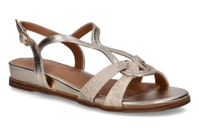 PIED DE BICHE-PLEA 1-GOLD-DAMES-0001