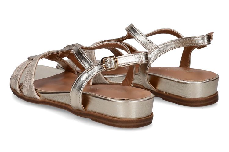 PIED DE BICHE-PLEA 1-OR-DAMES-0002