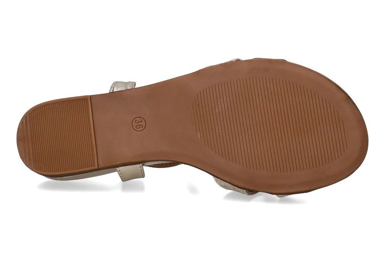 PIED DE BICHE-PLEA 1-OR-DAMES-0005