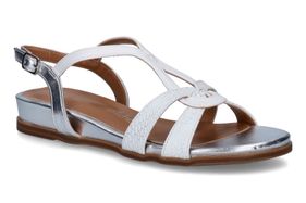 PIED DE BICHE-PLEA 2-WHITE-DAMES-0001