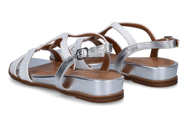 PIED DE BICHE-PLEA 2-BLANC-DAMES-0002