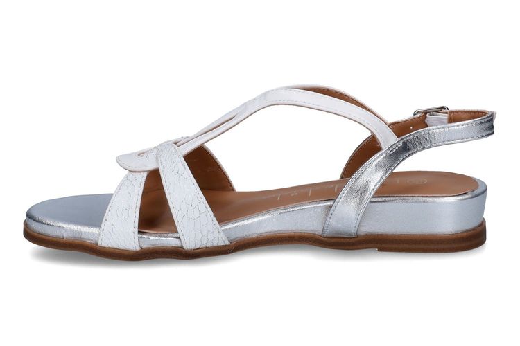 PIED DE BICHE-PLEA 2-BLANC-DAMES-0004