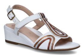 ARA-ANOMA-WHITE-DAMES-0001