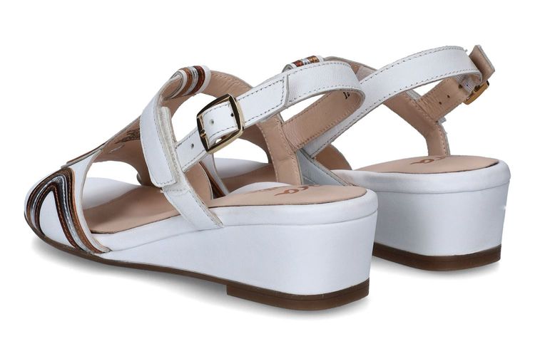 ARA-ANOMA-BLANC-DAMES-0002