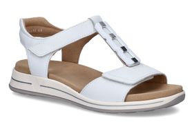 ARA-ABLINE-WIT-DAMES-0001