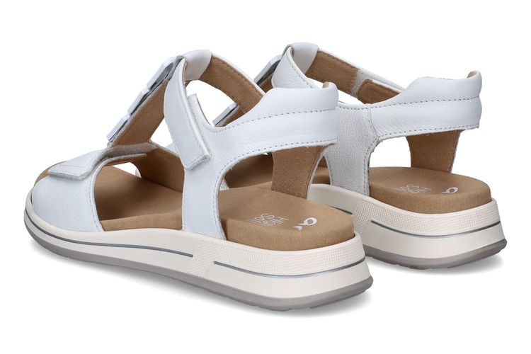 ARA-ABLINE-BLANC-DAMES-0002