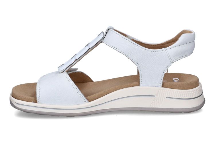 ARA-ABLINE-BLANC-DAMES-0004