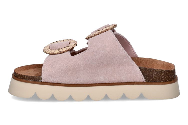 NO NAME-SANDY 2-ROSE-DAMES-0004