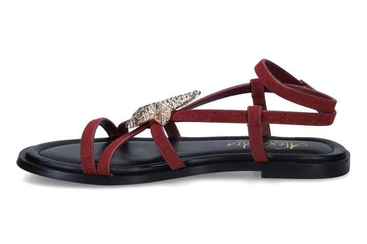 ALEXANDRA-ELODYE-BORDEAUX-DAMES-0004