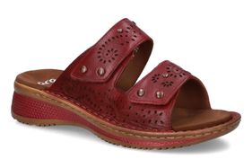 ARA-AVIVA-RED-DAMES-0001