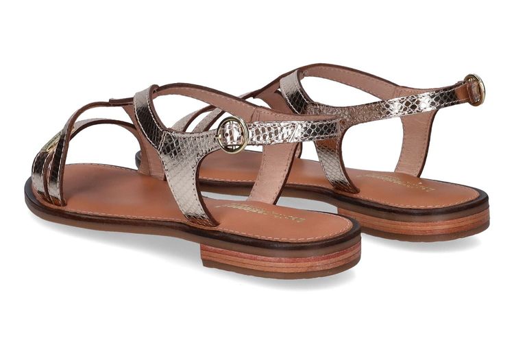 LES TROPEZIENNES-HASTRAL1-OR-DAMES-0002