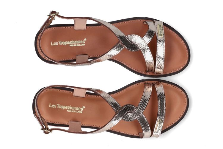 LES TROPEZIENNES-HASTRAL1-OR-DAMES-0003