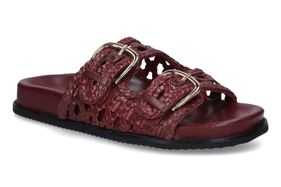 GIOSEPPO-OGUNQUIT-BURGUNDY-DAMES-0001