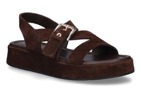 ALEXANDRA-ALBINE-CHESTNUT BROWN-DAMES-0001