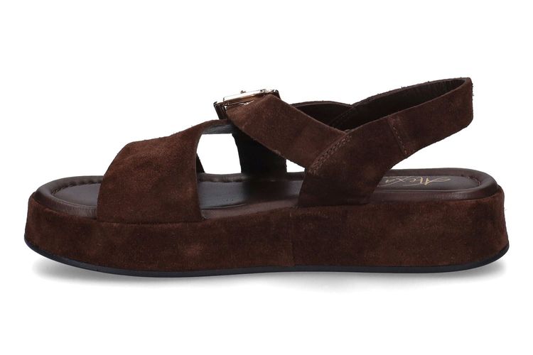 ALEXANDRA-ALBINE-MARRON-DAMES-0004