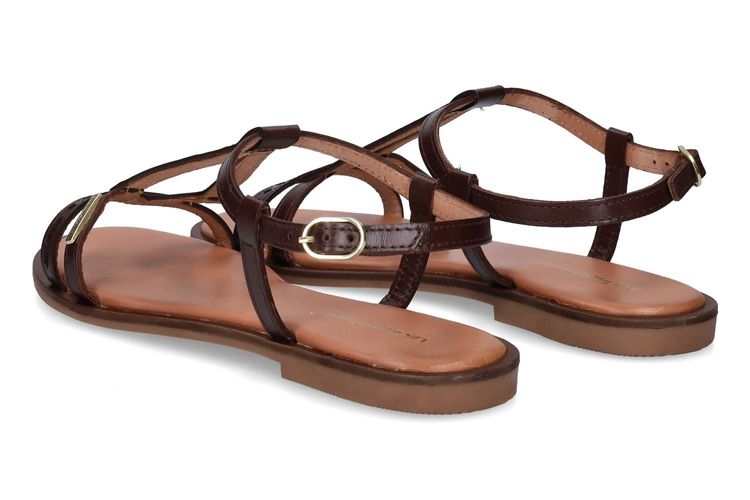 LES TROPEZIENNES-HELECTRA-MARRON-DAMES-0002