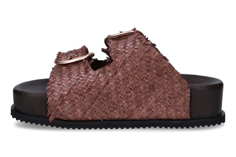 SWEET LEMON-MALESS2-MARRON-DAMES-0004