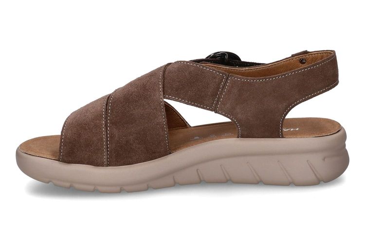 HARTJES-CALYPSO-TAUPE-DAMES-0004