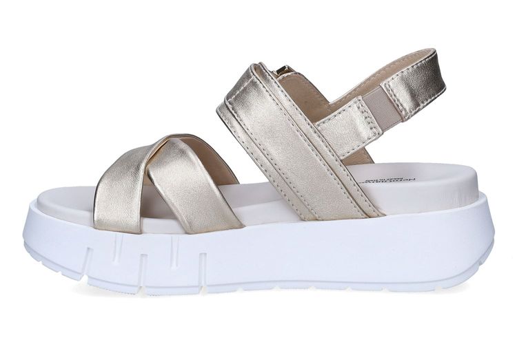 NEROGIARDINI-NICHOLE1-OR-DAMES-0004