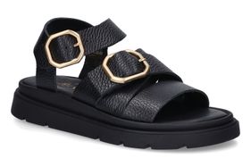 ALEXANDRA-NODIA-BLACK-DAMES-0001